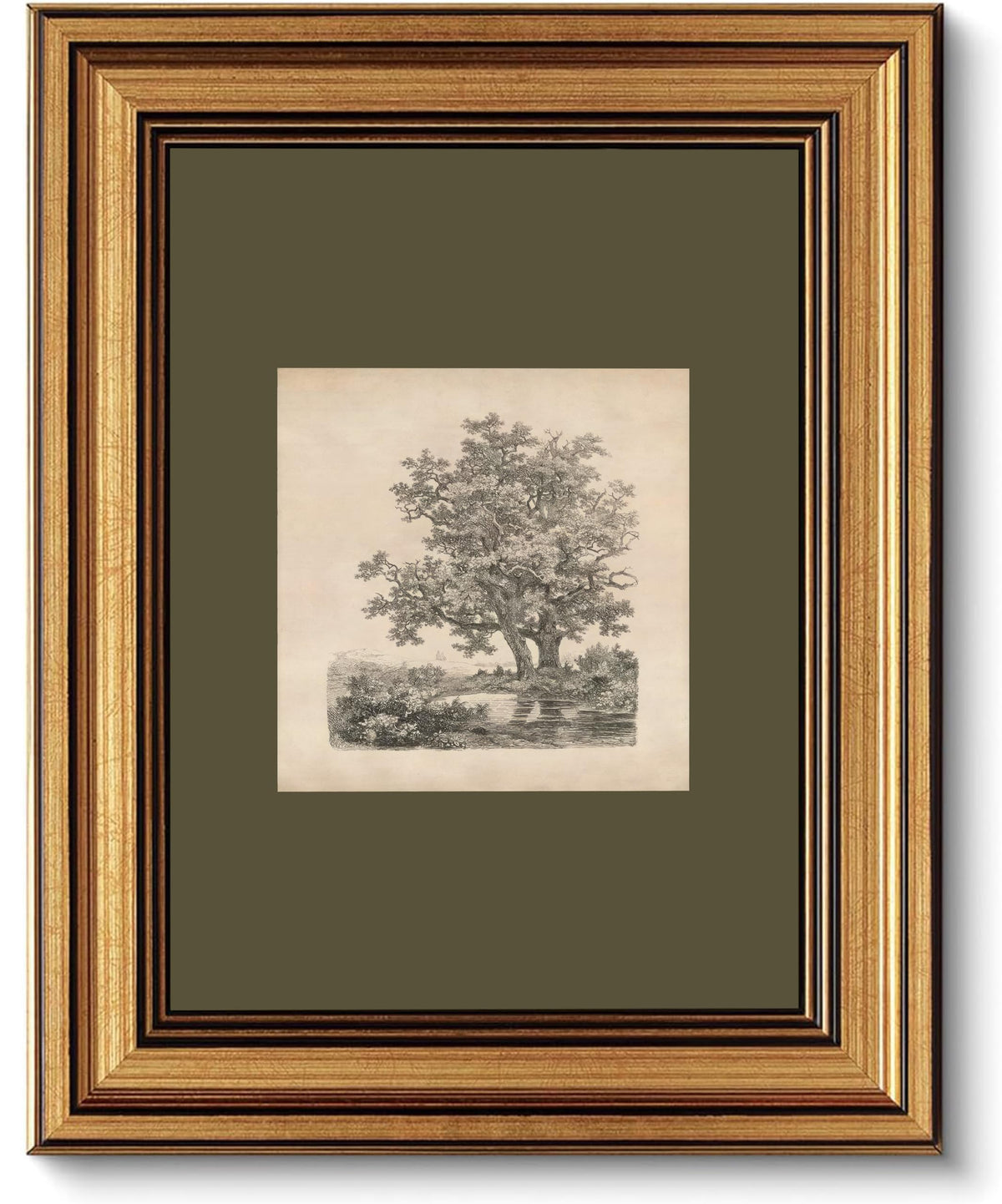 FKRYTYB Vintage Gold Framed oak Landscape Etching Wall Art 9x11in