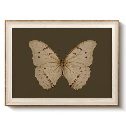 VIYYIEA Framed Wall Art for Living Room, Swan Wall Decor, 12×10 Inch