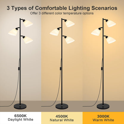 Black Modern Standing Lamp for Living Room,In‑line Push‑button Switch