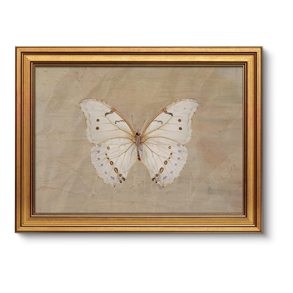 VIYYIEA Vintage Gold Framed Wall Art – Hummingbird Sketch, 8x10 IN