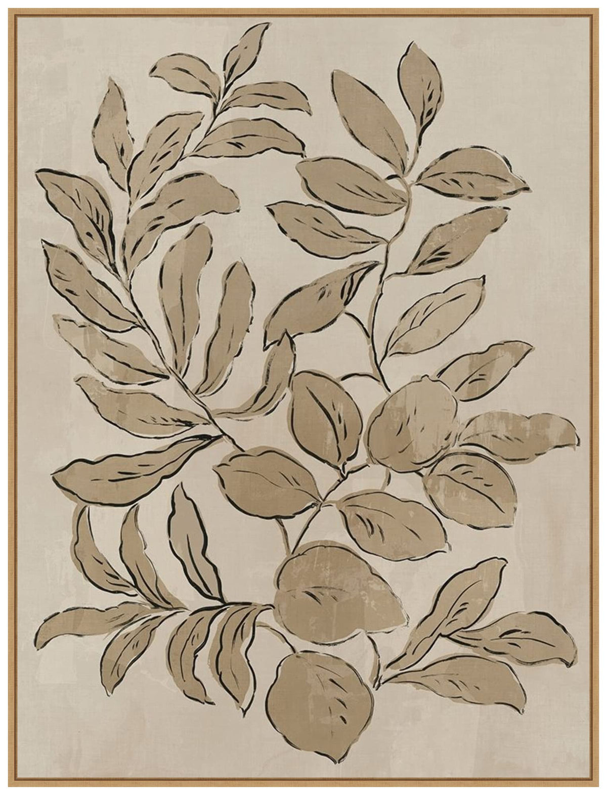 Amanti Art Framed Canvas Wall Art 24x18 Leaves Sketches I by Asia Jensen, Framed Wall Art Canvas, Flowers Artwork, Traditional Decor, Medium Poster Painting for Living Room, Bedroom, Bathroom,