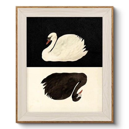 VIYYIEA Framed Wall Art for Living Room, Swan Wall Decor, 12×10 Inch