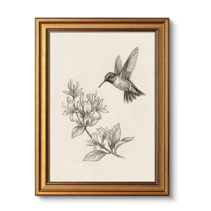 VIYYIEA Vintage Gold Framed Wall Art – Hummingbird Sketch, 8x10 IN