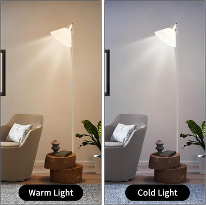 HonoDing Floor Lamp Standing Lamp Adjustable Head Arcylic Shade Floor Lamps for Living Room/Office/Bedroom (Satin Nickel)