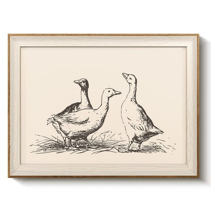 VIYYIEA Framed Wall Art for Living Room, Swan Wall Decor, 12×10 Inch