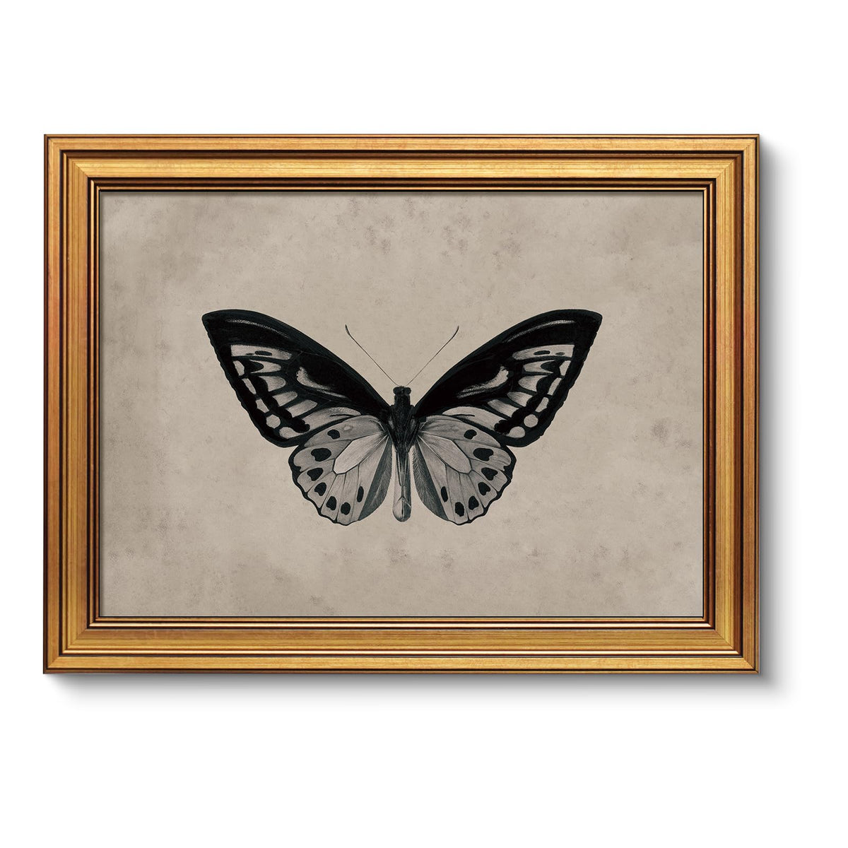 VIYYIEA Vintage Gold Framed Wall Art – Hummingbird Sketch, 8x10 IN