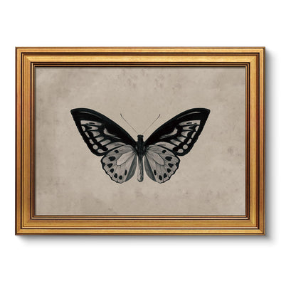 VIYYIEA Vintage Gold Framed Wall Art – Hummingbird Sketch, 8x10 IN