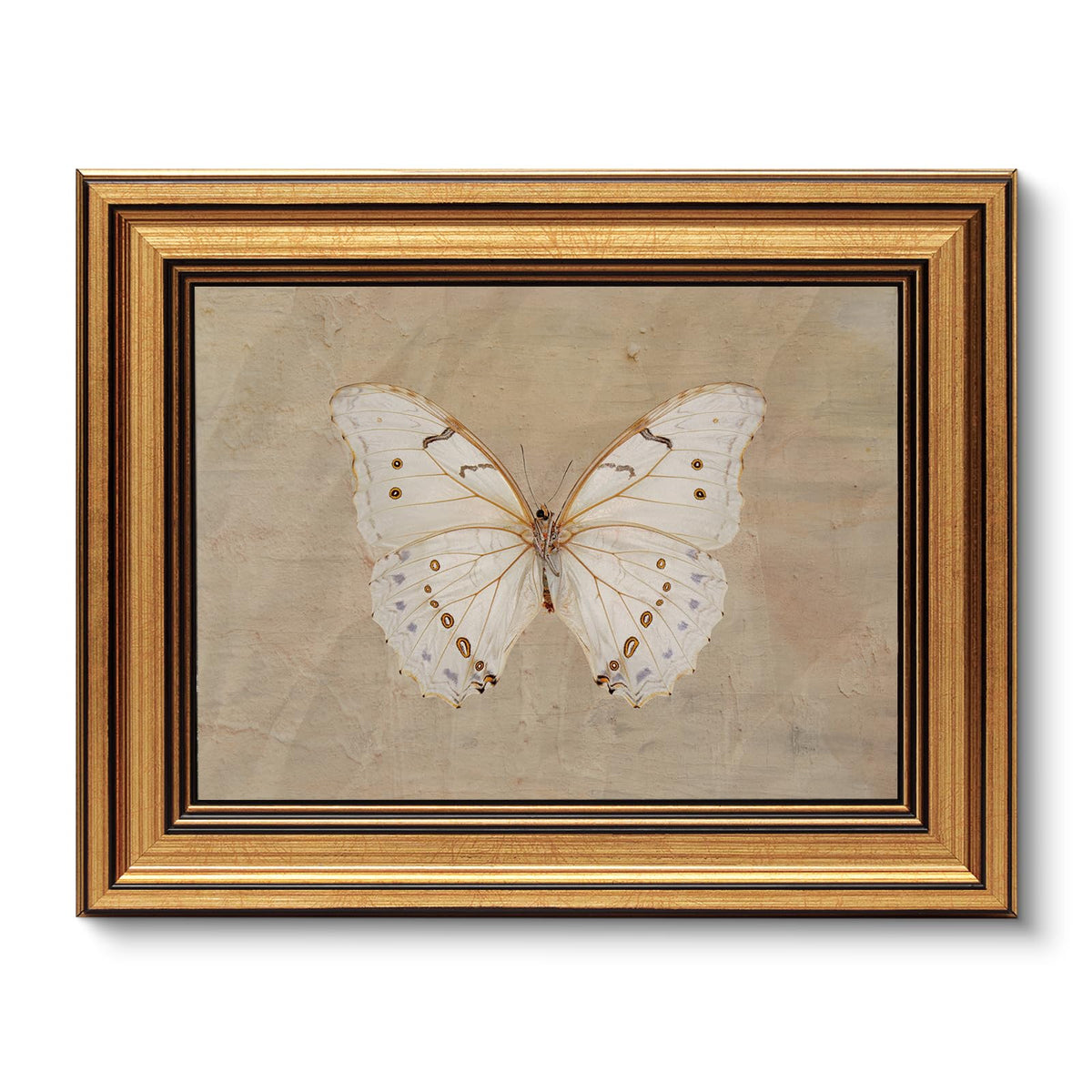 VIYYIEA Vintage Gold Framed Wall Art – Hummingbird Sketch, 8x10 IN