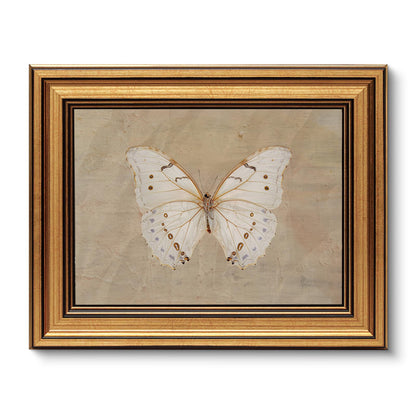 VIYYIEA Vintage Gold Framed Wall Art – Hummingbird Sketch, 8x10 IN