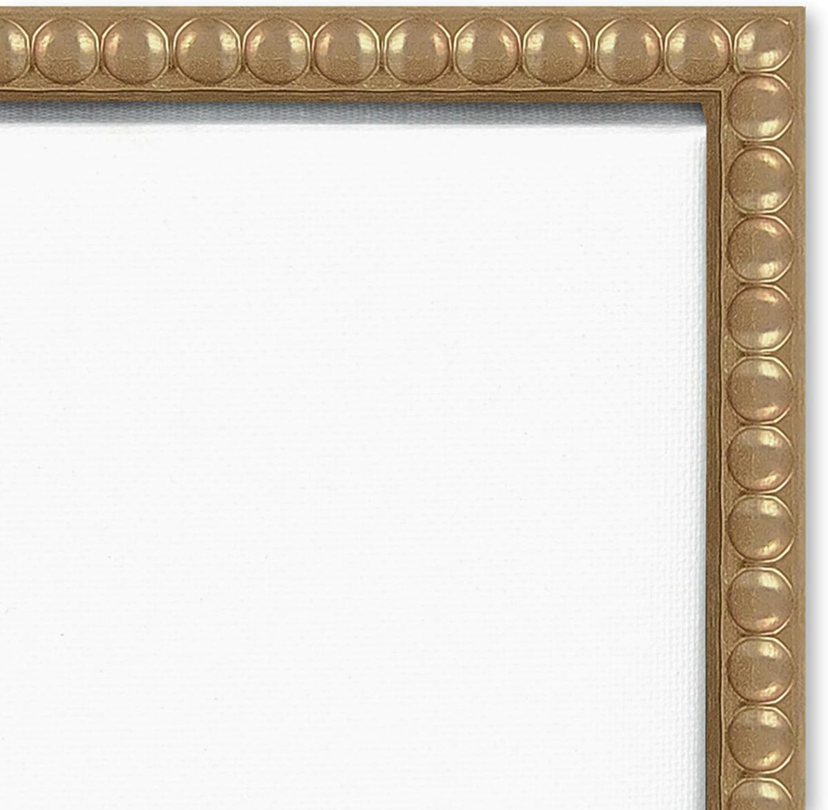 Amanti Art Framed Canvas Wall Art 24x18 Leaves Sketches I by Asia Jensen, Framed Wall Art Canvas, Flowers Artwork, Traditional Decor, Medium Poster Painting for Living Room, Bedroom, Bathroom,