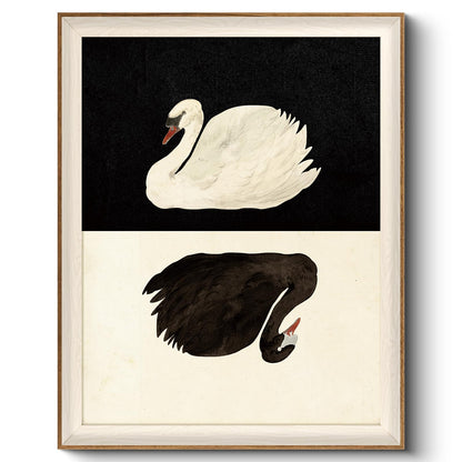 VIYYIEA Framed Wall Art for Living Room, Swan Wall Decor, 12×10 Inch