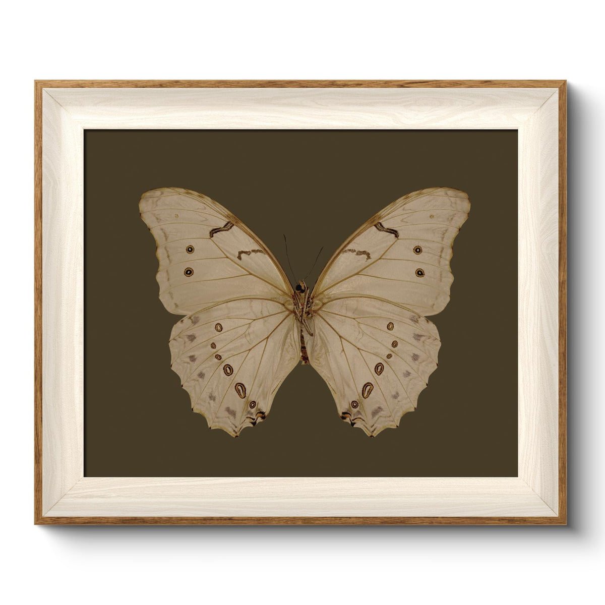 VIYYIEA Framed Wall Art for Living Room, Swan Wall Decor, 12×10 Inch