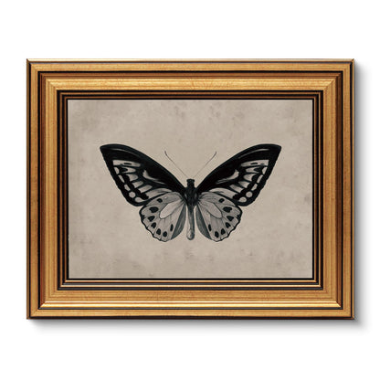 VIYYIEA Vintage Gold Framed Wall Art – Hummingbird Sketch, 8x10 IN