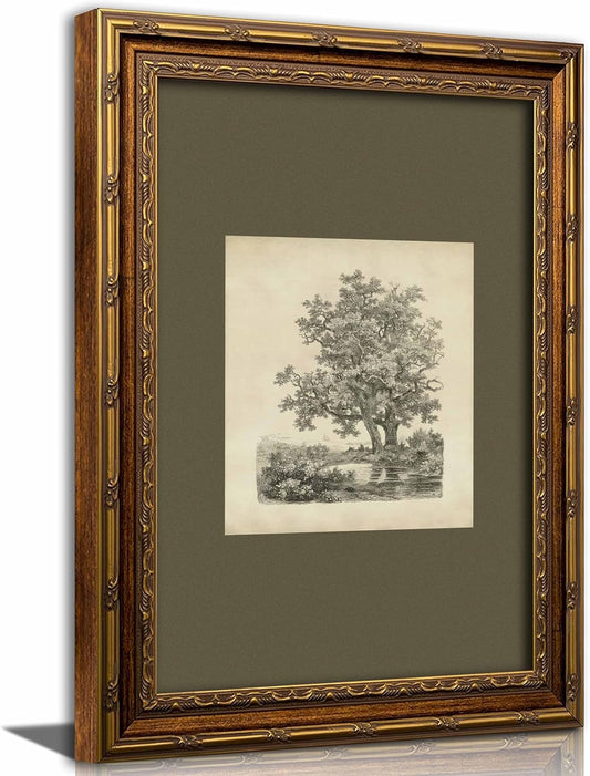 Kabcod Vintage Gold Framed Tree Wall Art Prints, Farmhouse Tree Forest Painting,Natural Sketch Landscape Pictures,Vintage Rustic Siege Green Artwork,for Bathroom Bedroom Gallery Home Decor(9" x 11")