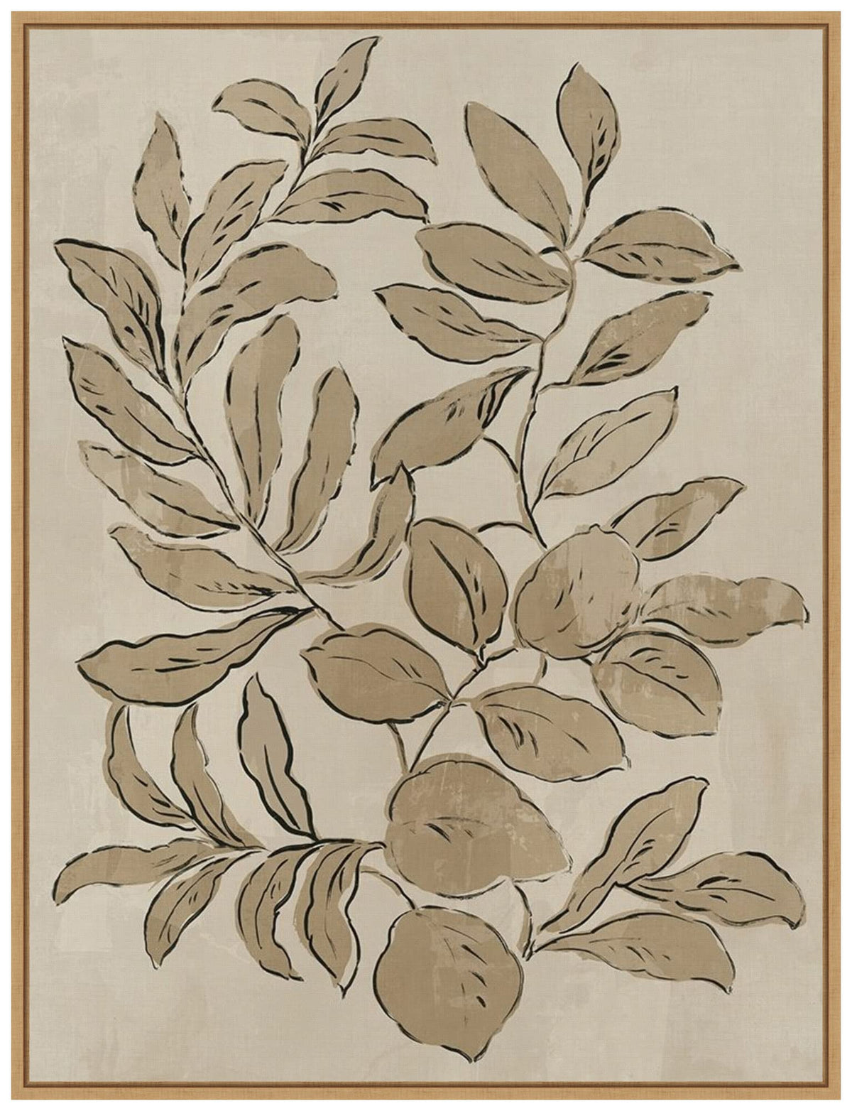 Amanti Art Framed Canvas Wall Art 24x18 Leaves Sketches I by Asia Jensen, Framed Wall Art Canvas, Flowers Artwork, Traditional Decor, Medium Poster Painting for Living Room, Bedroom, Bathroom,