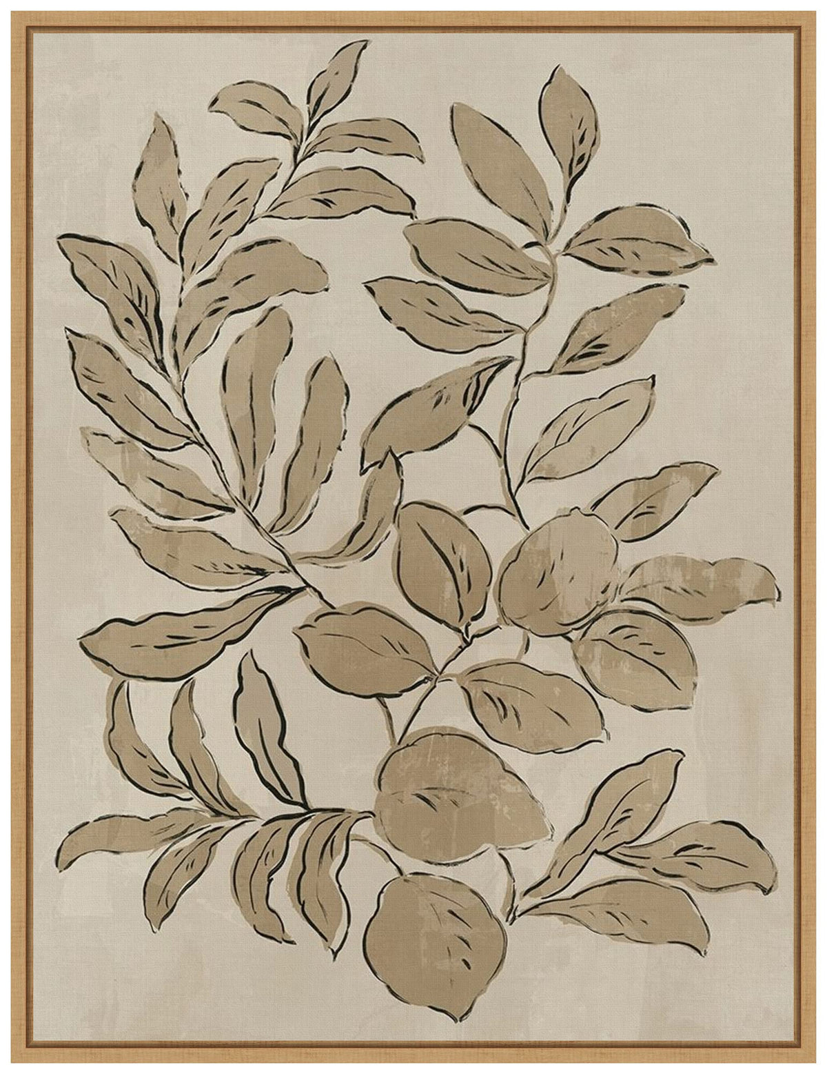 Amanti Art Framed Canvas Wall Art 24x18 Leaves Sketches I by Asia Jensen, Framed Wall Art Canvas, Flowers Artwork, Traditional Decor, Medium Poster Painting for Living Room, Bedroom, Bathroom,