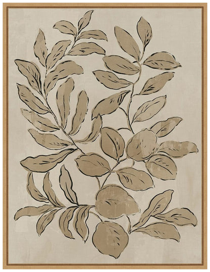 Amanti Art Framed Canvas Wall Art 24x18 Leaves Sketches I by Asia Jensen, Framed Wall Art Canvas, Flowers Artwork, Traditional Decor, Medium Poster Painting for Living Room, Bedroom, Bathroom,