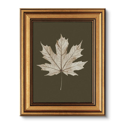 VIYYIEA Vintage Gold Framed Wall Art – Hummingbird Sketch, 8x10 IN