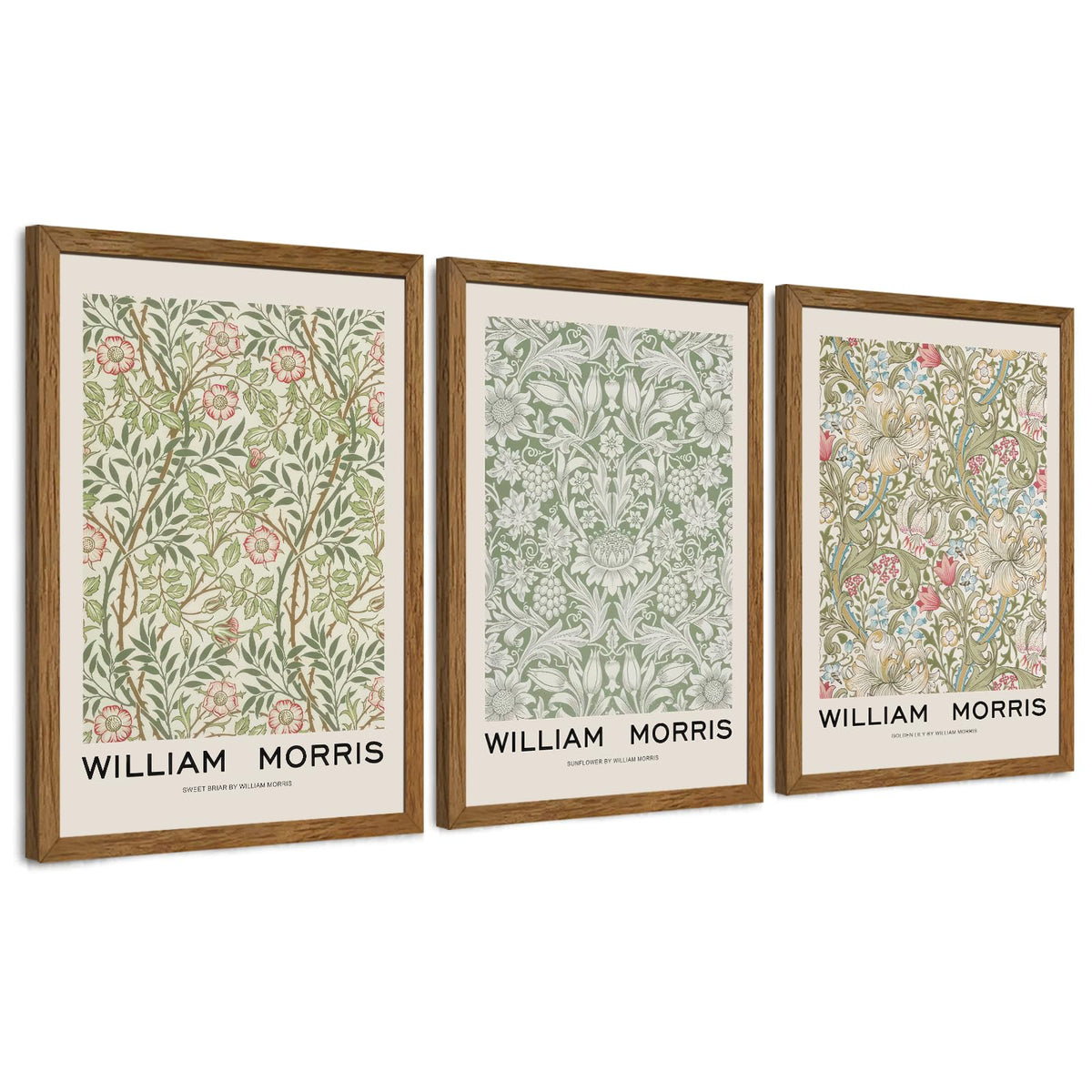 JLTULT William Morris Wall Art Set of 3, Solid Wood Frames, 16 x 24 in Each