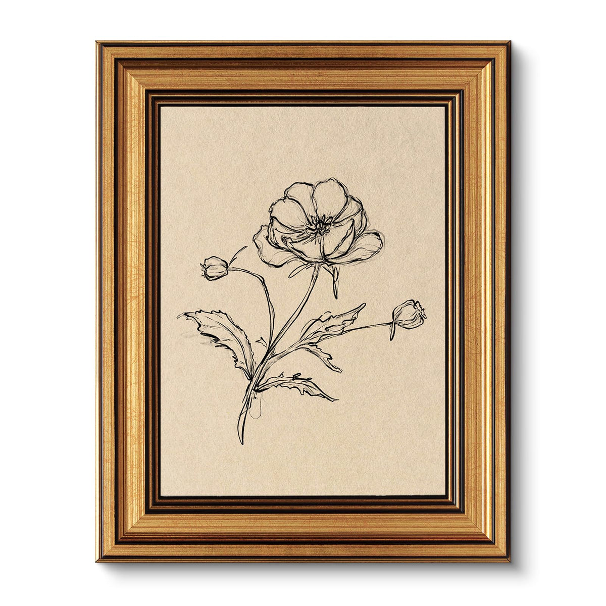 VIYYIEA Vintage Gold Framed Wall Art – Hummingbird Sketch, 8x10 IN