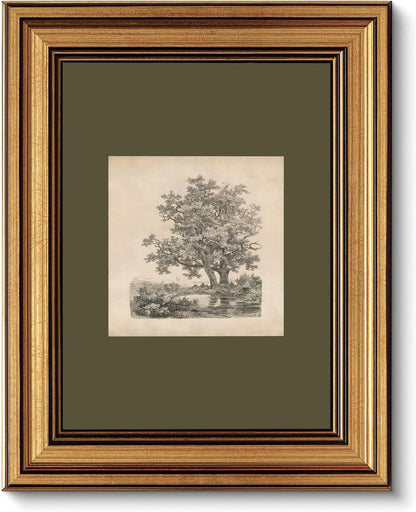 FKRYTYB Vintage Gold Framed oak Landscape Etching Wall Art 9x11in