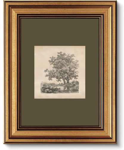FKRYTYB Vintage Gold Framed oak Landscape Etching Wall Art 9x11in