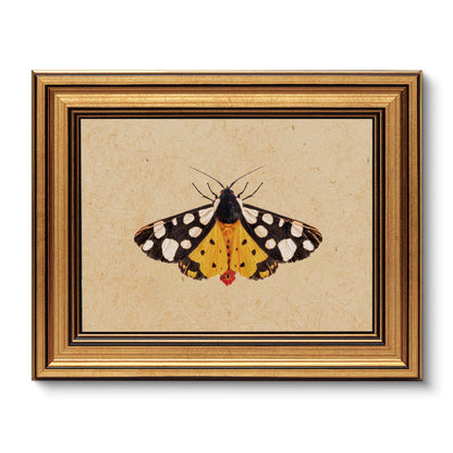 VIYYIEA Vintage Gold Framed Wall Art – Hummingbird Sketch, 8x10 IN