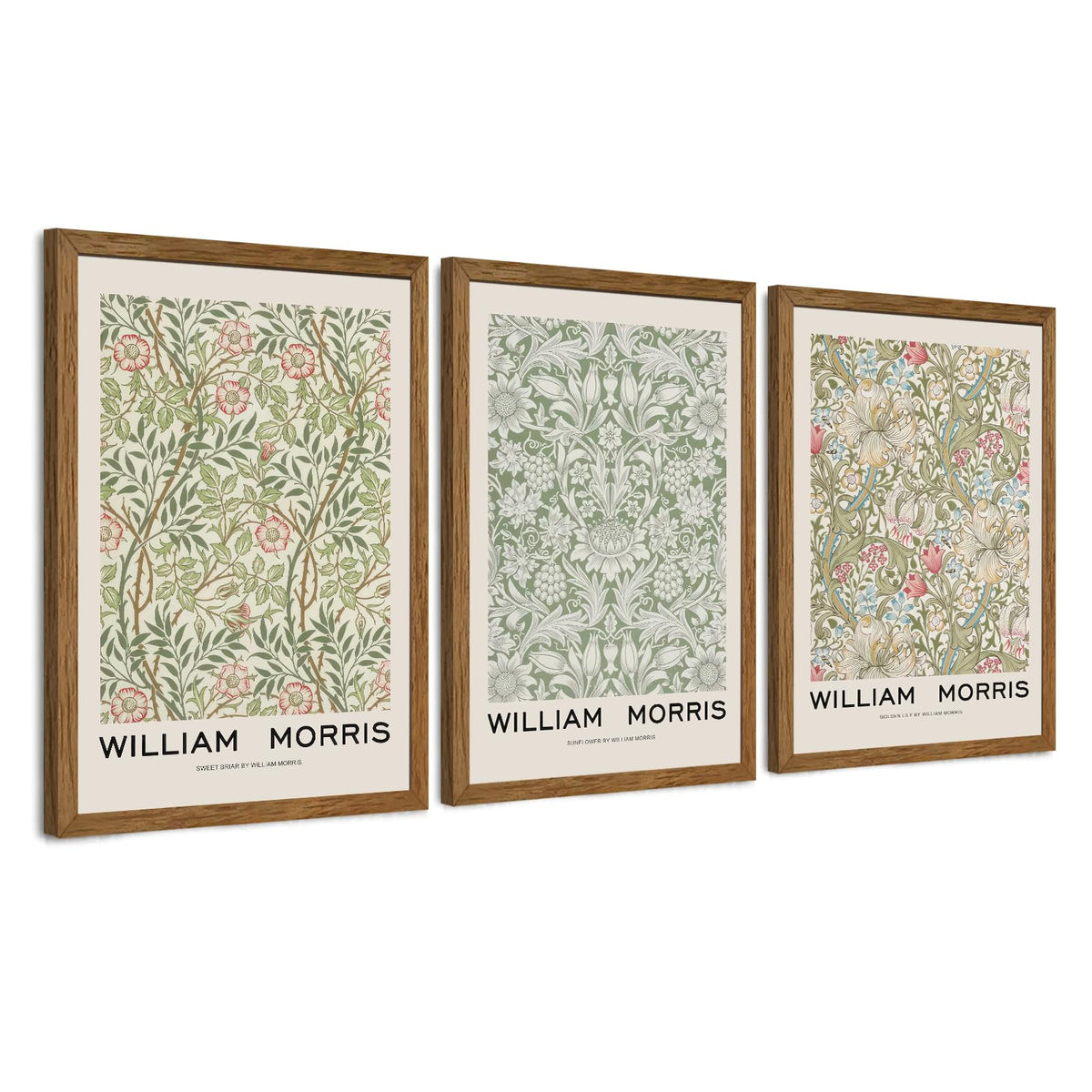 JLTULT William Morris Wall Art Set of 3, Solid Wood Frames, 16 x 24 in Each